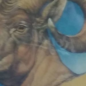 Meet your Posher, Ron